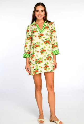 Taylor Dress - Strawberry Garden